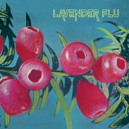 Lavender Flu- Mow The Glass ( LP )