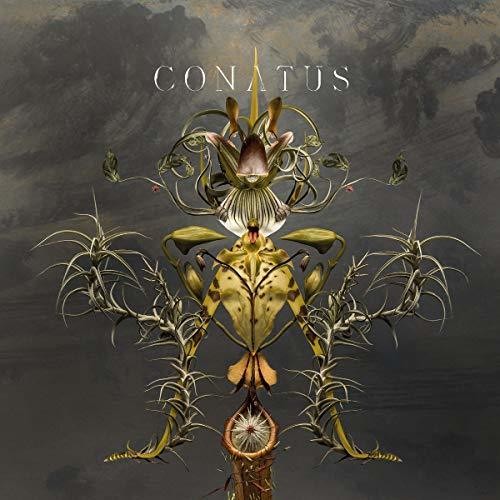 Joep Beving: Conatus { Record }