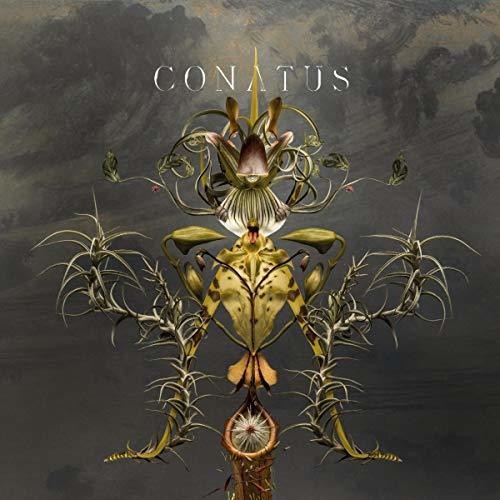 Joep Beving: Conatus - COMPACT DISCS