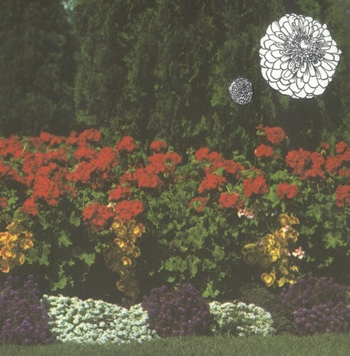 Imaginary Softwoods: Annual Flowers in Color { Record }