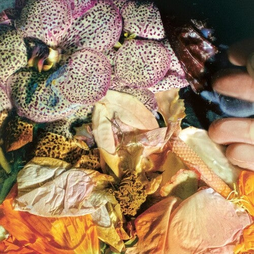 Soela: Genuine Silk { Record }