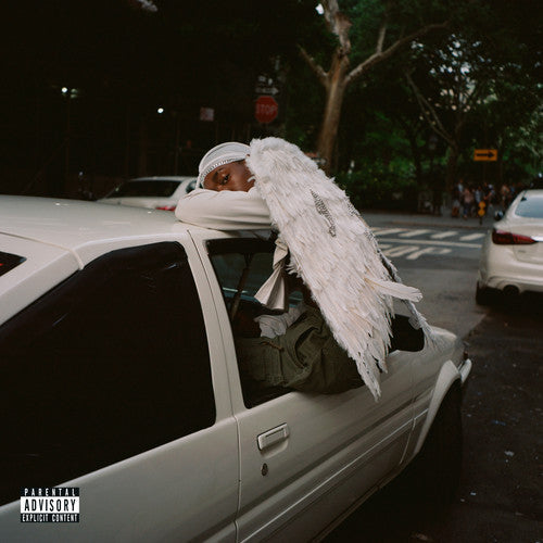 Blood Orange: Negro Swan - VINYL