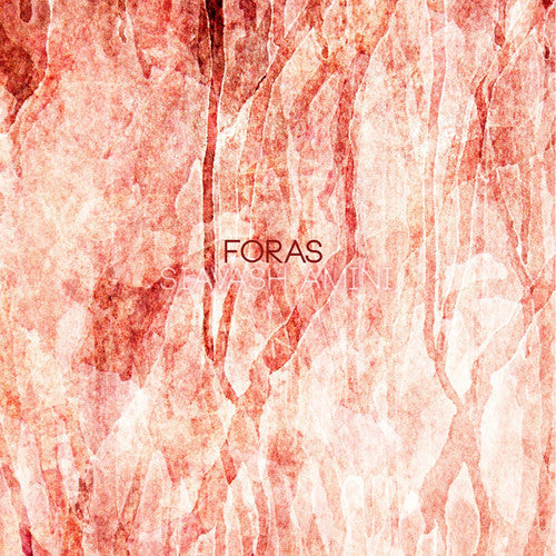 Siavash Amini: Foras { Record }