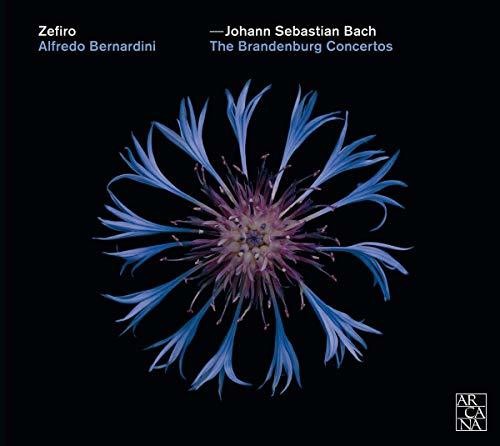 Bach, J.S. / Zefiro / Bernardini: Brandenburg Concertos - COMPACT DISCS