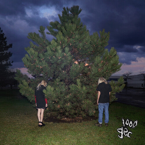 100 gecs: 1000 Gecs - VINYL