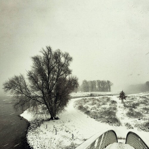 Beequeen: Winter { Record }