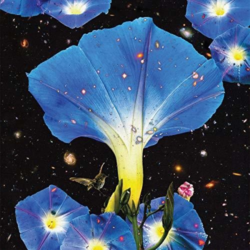 Sarah Louise: Nighttime Birds And Morning Stars { Record }