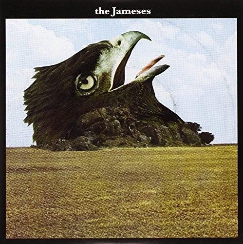 Jameses- Caribou ( LP )