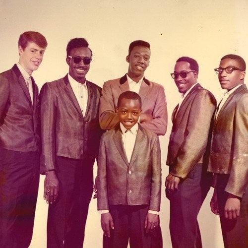 Lil Ed & the Sound Masters- Lil Ed & The Sound Masters ( LP )