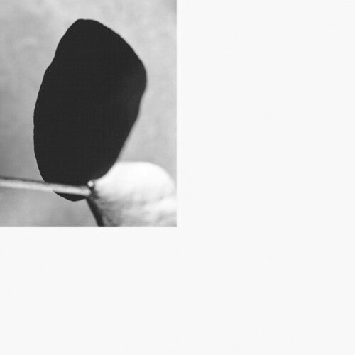 Michalis Moschoutis: Classical Mechanics - COMPACT DISCS