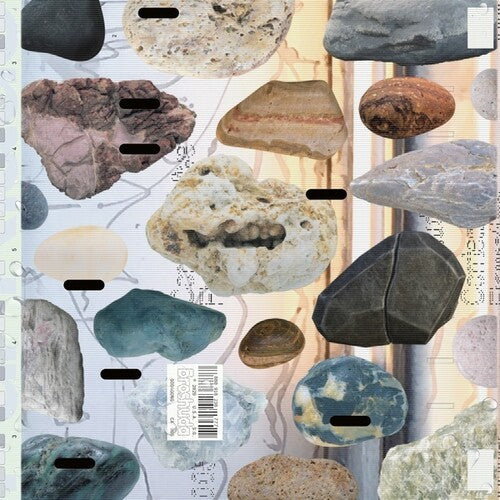 Broshuda: Contemplative Figuration { Record }