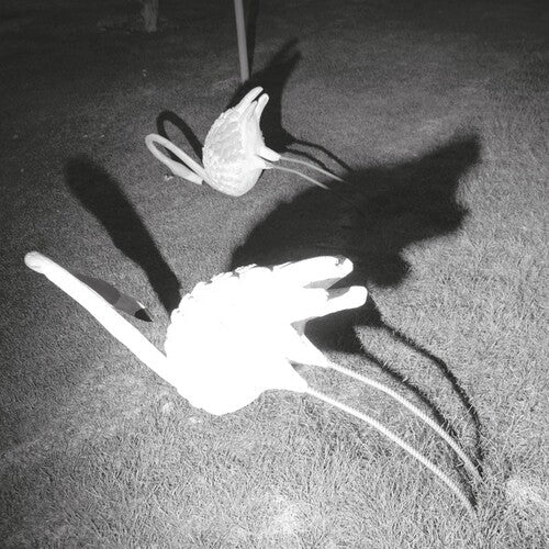 Siavash Amini: A Mimesis of Nothingness { Record }