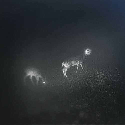 Bliss Signal- Bliss Signal [Limited Edition] ( LP )