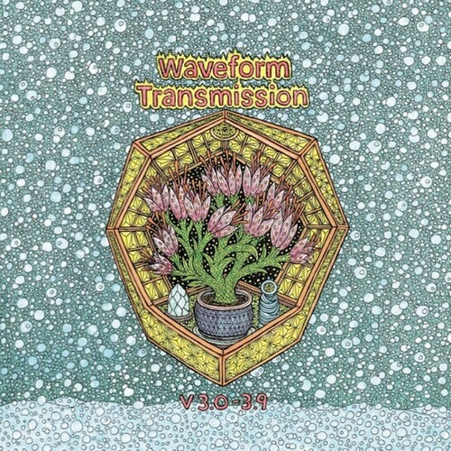 Waveform Transmission: V 3.0 - 3.9 { Record }