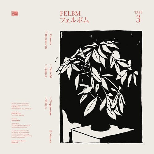 Felbm: Tape 3 / Tape 4 { Record }