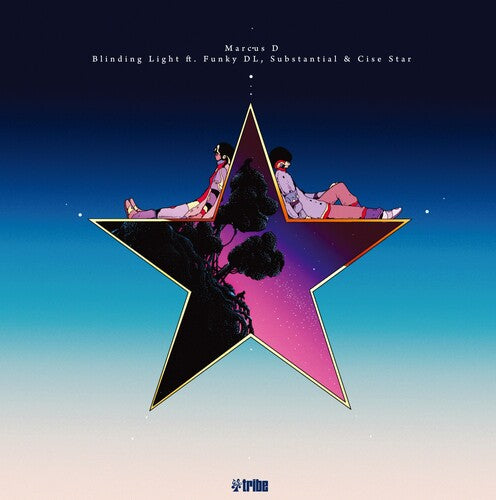 Marcus D: Blinding Light - 12-INCH SINGLE