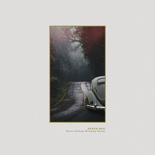 Steve Bug: Never Ending Winding Roads { Record }