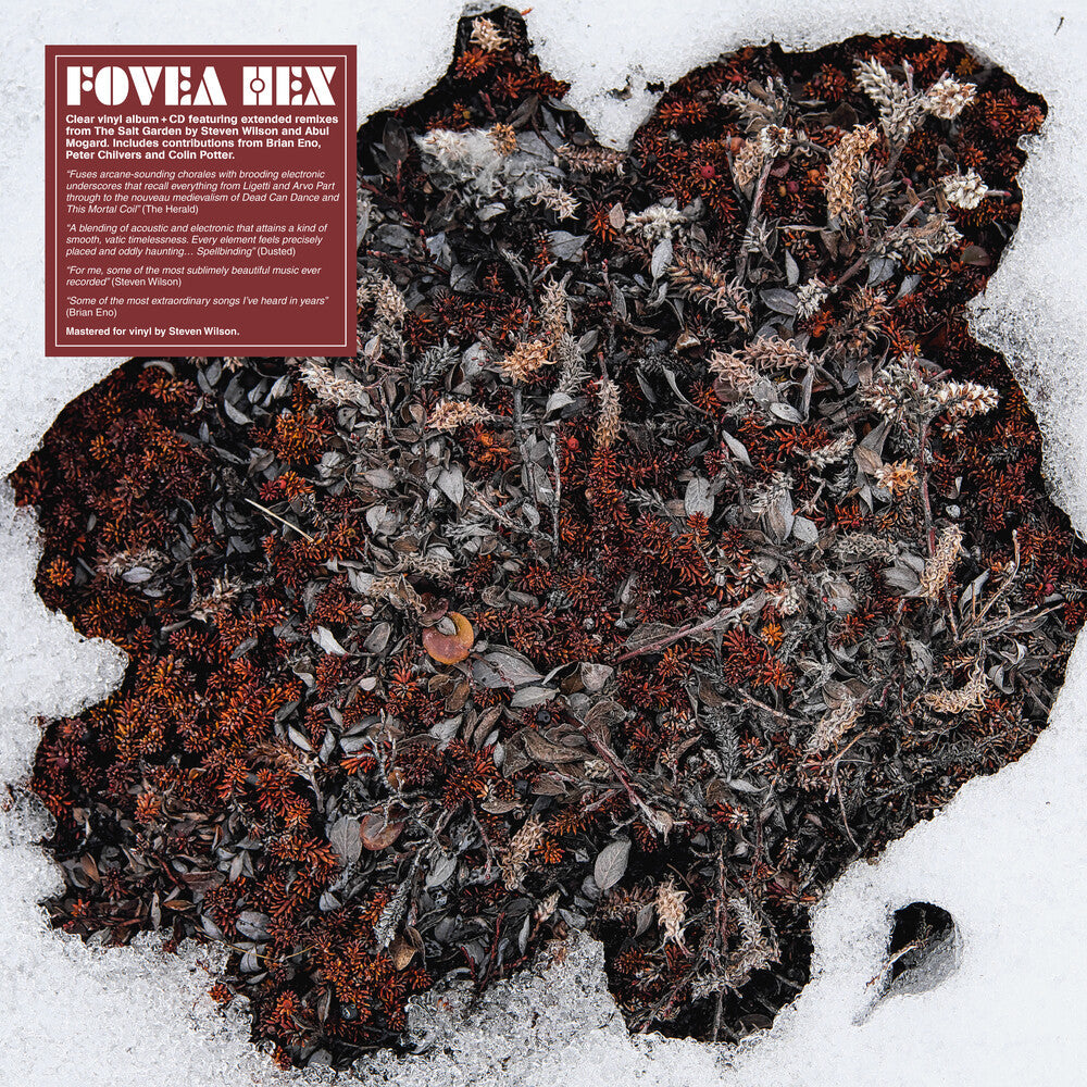 Fovea Hex- Salt Garden (Clear Vinyl) (W/Cd) [Clear Vinyl] ( LP )