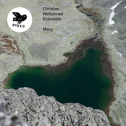 Christian Wallumrod: Many - VINYL