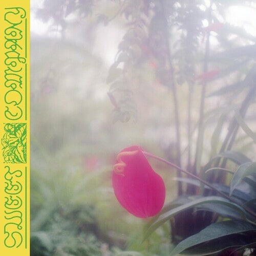 Jabu: Sweet Company - COMPACT DISCS