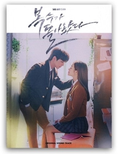 My Strange Hero / O.S.T.: MY STRANGE HERO (Korean SBS Drama Soundtrack) - CD