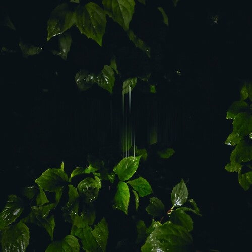 Martina Bertoni: Music For Empty Flats { Record }