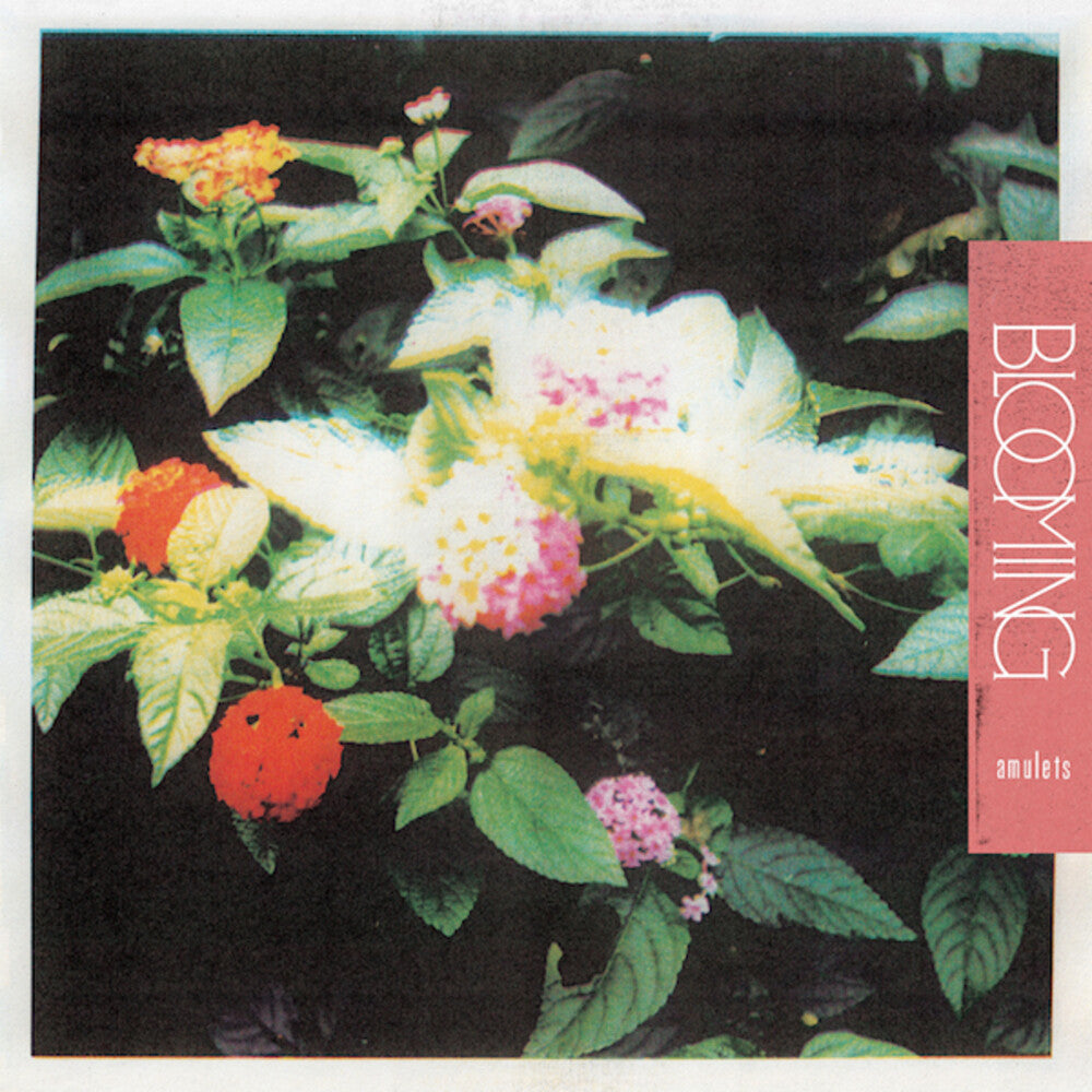 Amulets- Blooming ( LP )