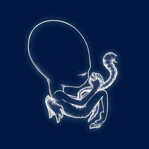 Sigur Ros: Agaetis Byrjun - VINYL