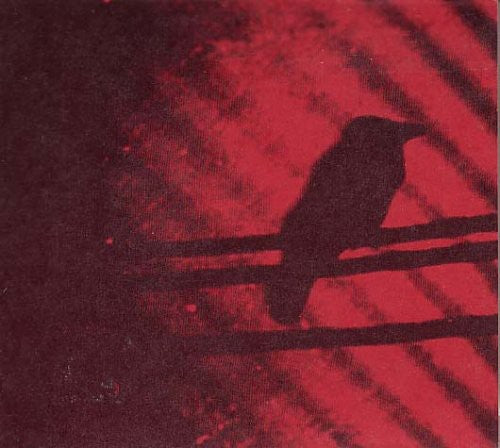 Silver Mt. Zion: Born Into Trouble As the Sparks Fly Upward { Record }