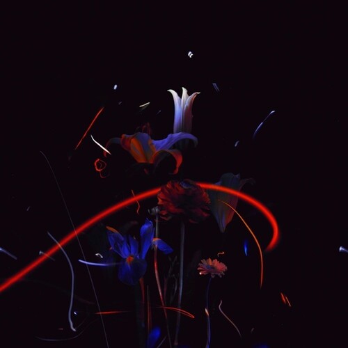 Heinali: Madrigals { Record }