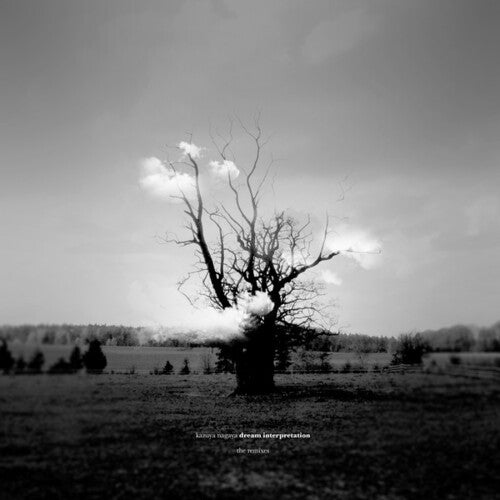 Kazuya Nagaya: Dream Interpretation (Remixes) { Record }