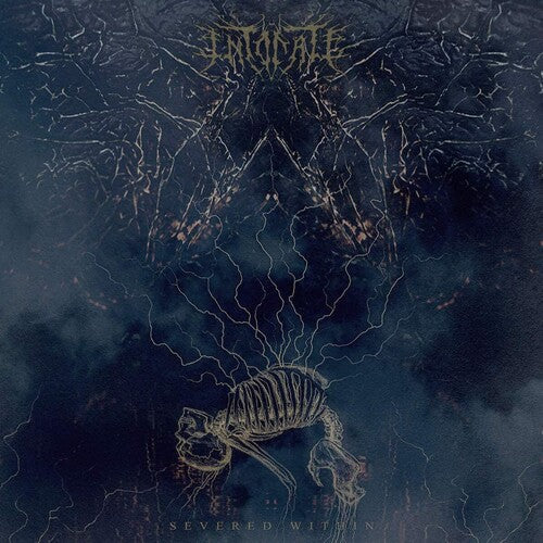 Intonate: Severed WIthin - VINYL