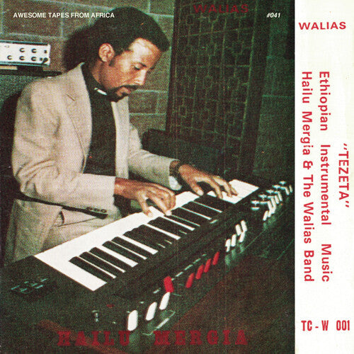 Hailu Mergia & the Walias: Tezeta - VINYL