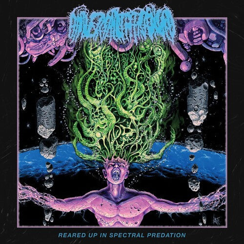 Universally Estranged: Reared Up In Spectral Predation - CD