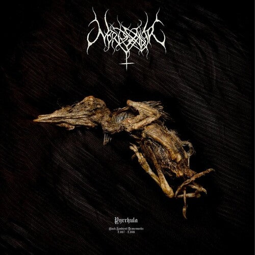 Nordvargr: Pyrrhula { Record }