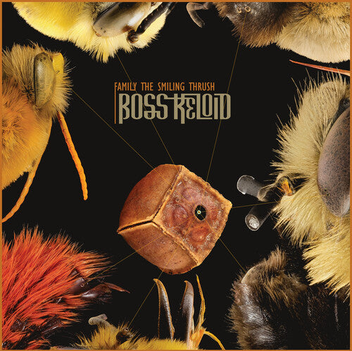 Boss Keloid: Family The Smiling Thrush - CD