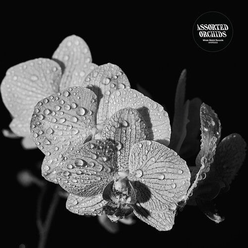 Assorted Orchids: Assorted Orchids { Record }
