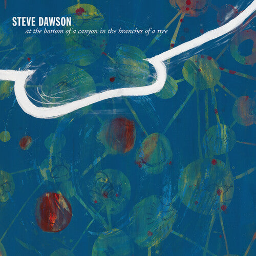Steve Dawson- At The Bottom Of A Canyon In The Branches Of Tree ( LP )