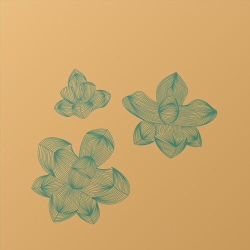 O-Wells: Subfriction { Record }