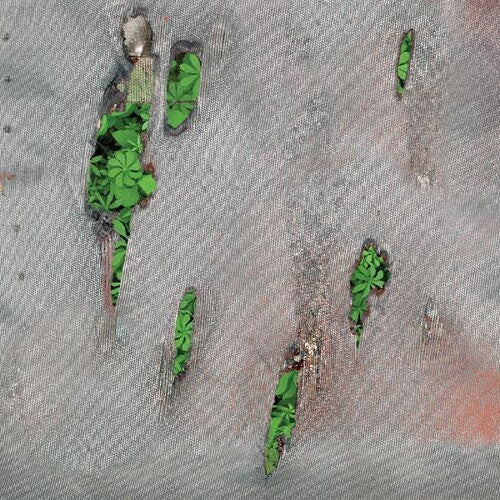 Koreless: Agor { Record }