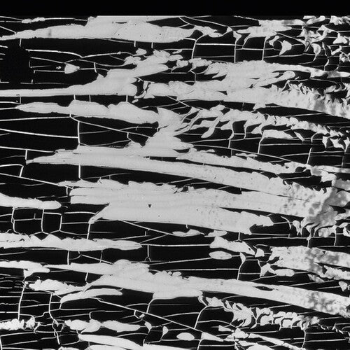Bj Nilsen: Irreal - COMPACT DISCS