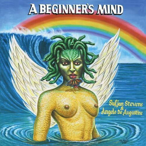 Sufjan Stevens- A Beginner's Mind ( LP )