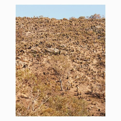 Andrew Pekler: Palimpsests { Record }