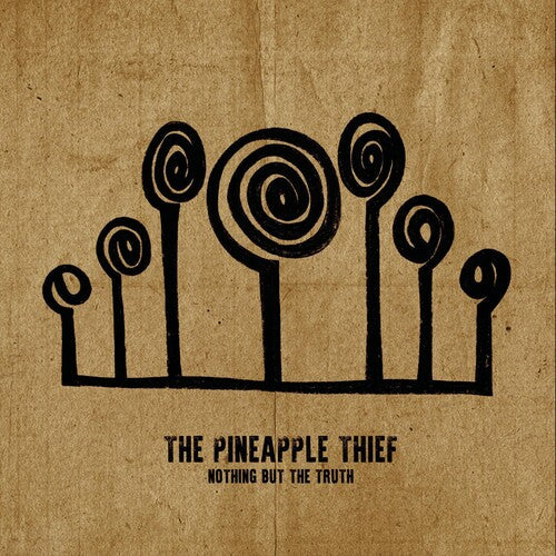 Pineapple Thief: Nothing But The Truth - VINYL