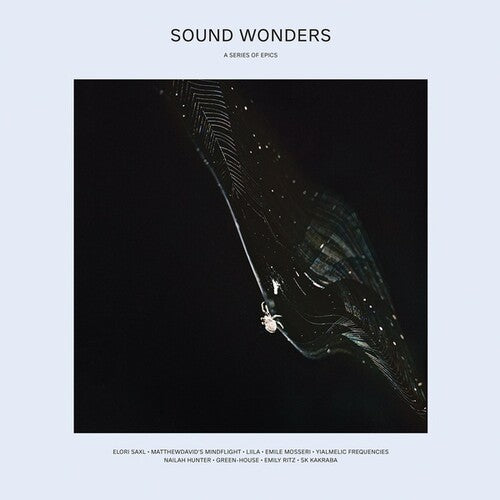 Various Artists: Sound Wonders (Various Artists) { Record }