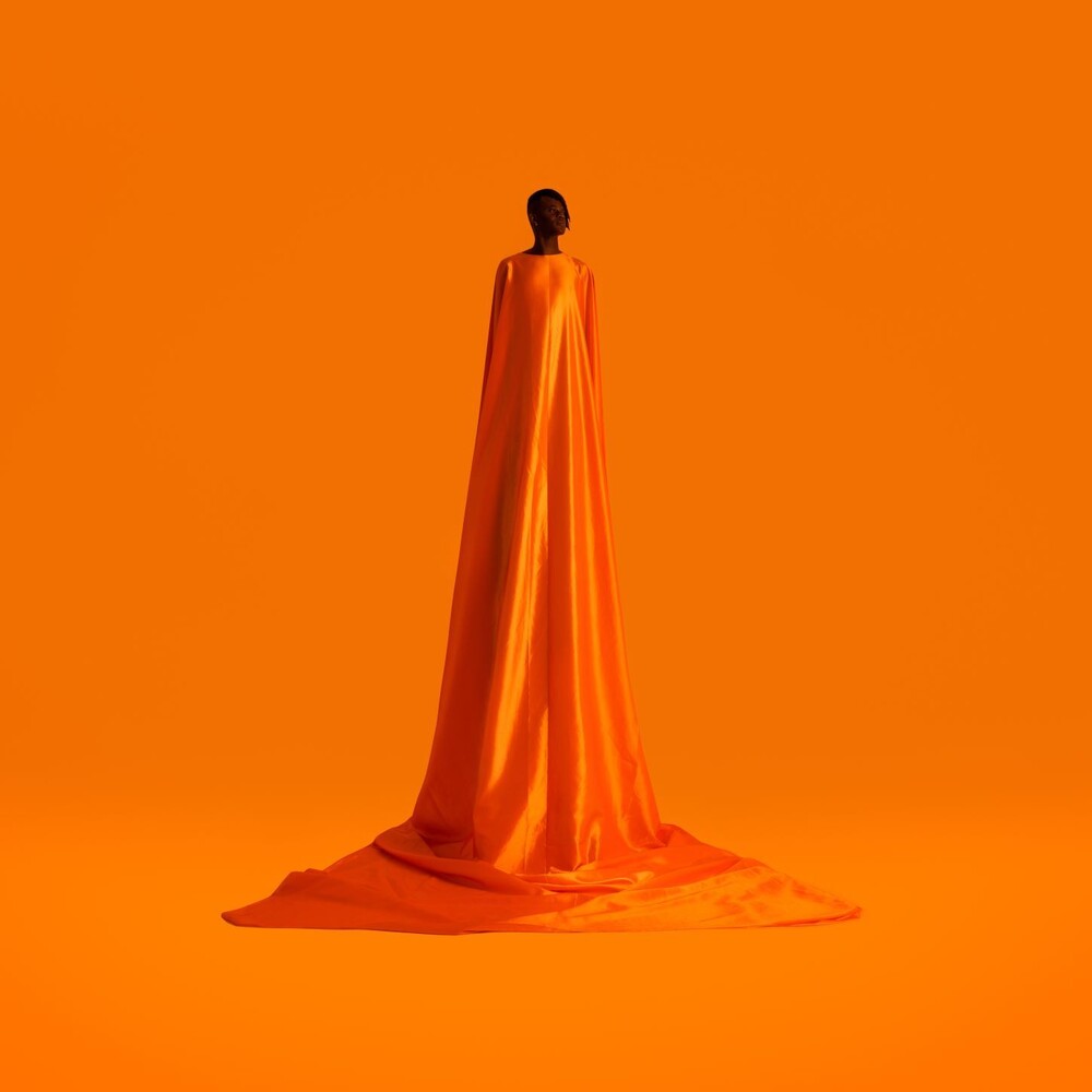 Wayne Snow- Figurine (Uk) ( LP )