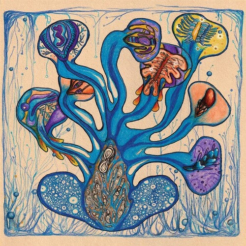 Houeida Hedfi: Fleuves de l'Ame - VINYL