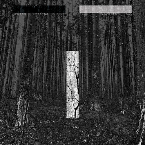 Chris Liebing: Another Day - COMPACT DISCS