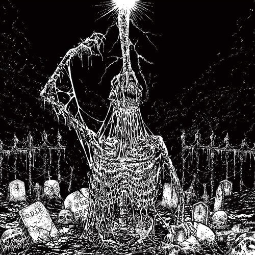 Infesticide / in Obscurity Revealed: Split - CD