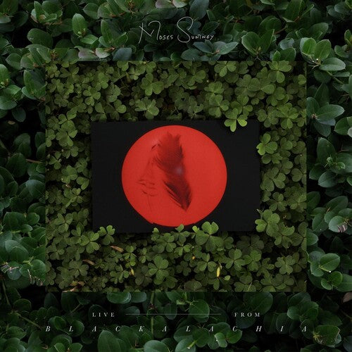 Moses Sumney: Live From Blackalachia (Clear Green) - VINYL